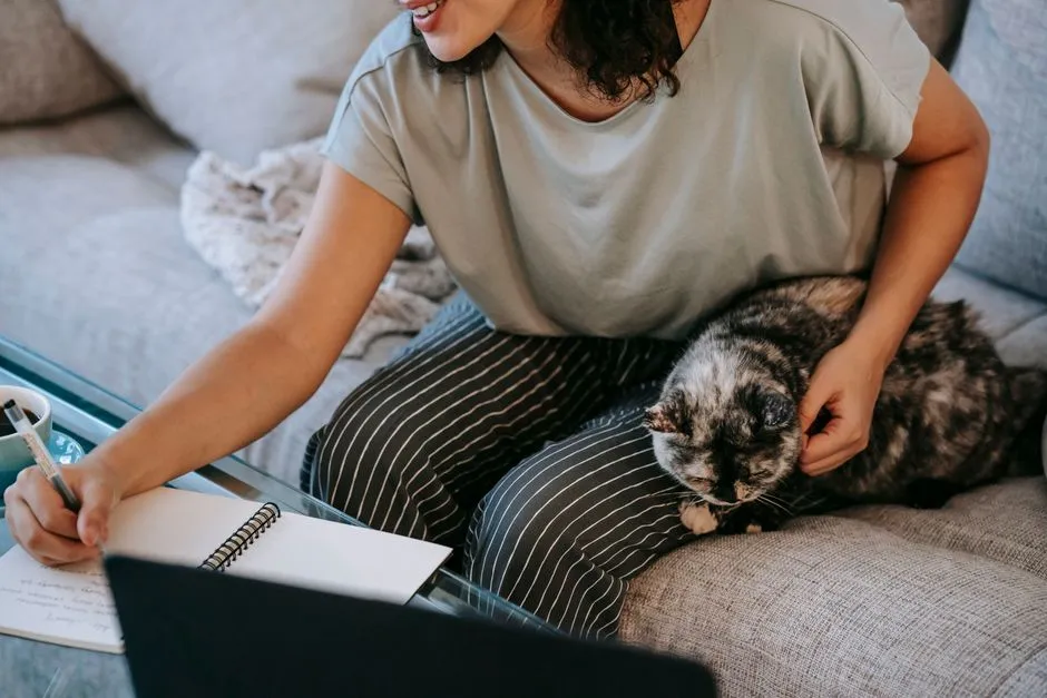 Pet Symptom Log: What to Record for Your Vet